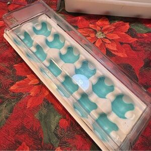EGG Holder Storage Refrigerator Padded to Protect the Egg Holds 12 dozen